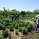 Sustainable and inovative use of natural resources in Armenia